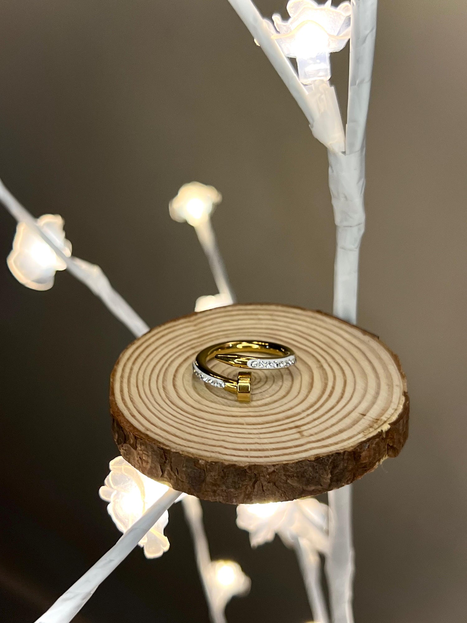 Gleaming Tip Ring